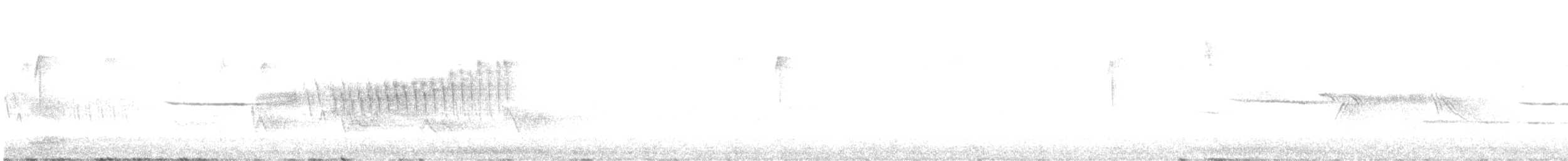 Northern Parula - ML638514073