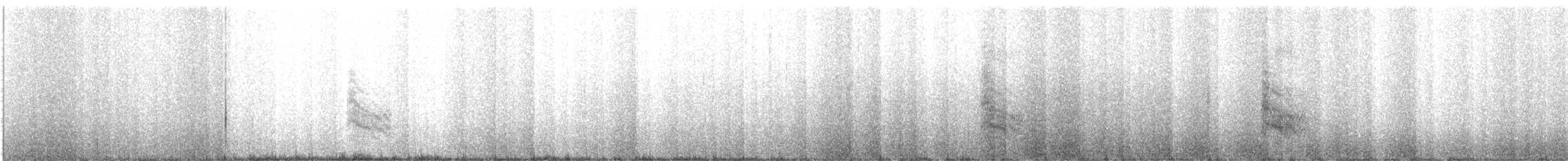 Forster's Tern - ML638514656