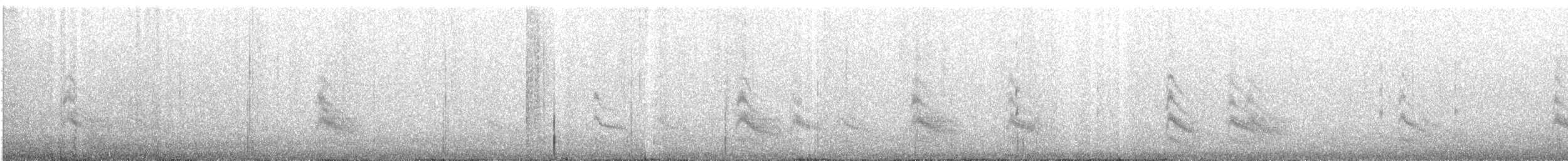 Forster's Tern - ML638514657