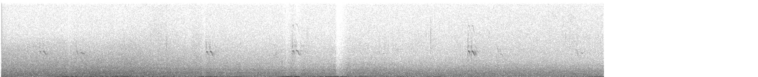 Least Tern - ML638514674