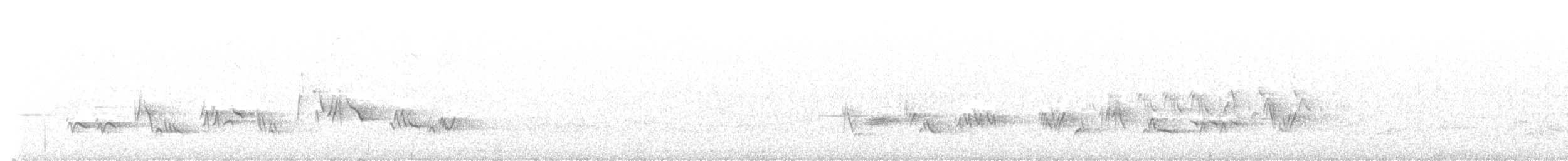 Townsend's Solitaire - ML638515327