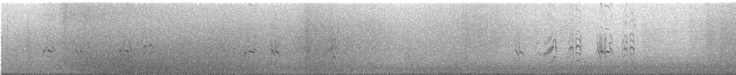 Least Tern - ML638515365