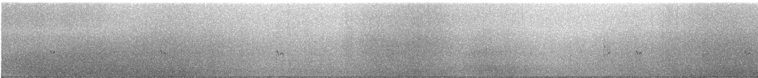 Least Tern - ML638515366
