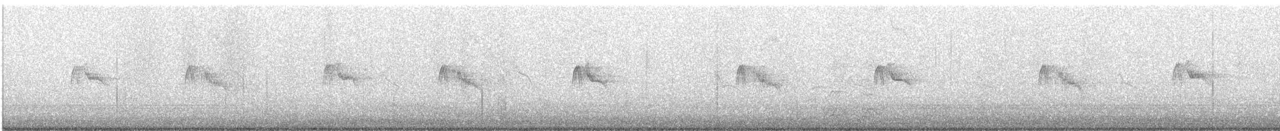 Black Phoebe - ML638515415