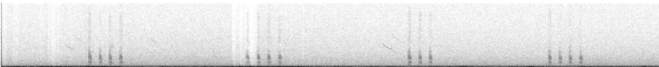 Western Gull - ML638515711
