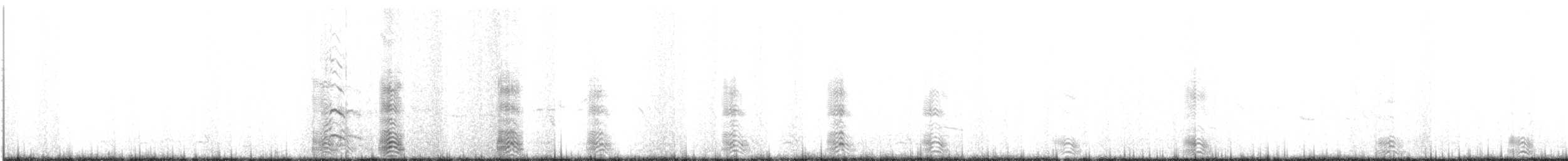 Western Gull - ML638515712