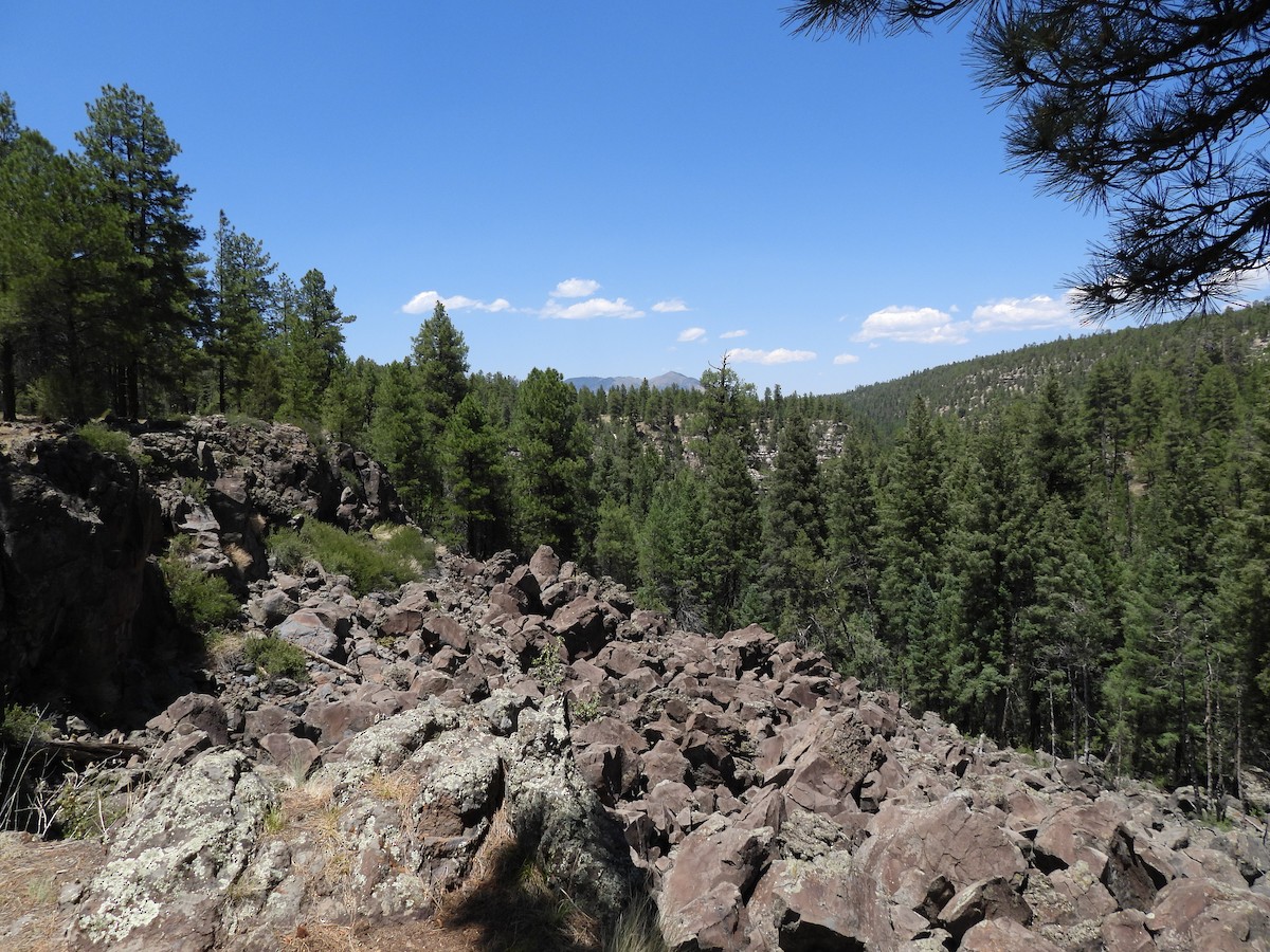 null - ML638516739