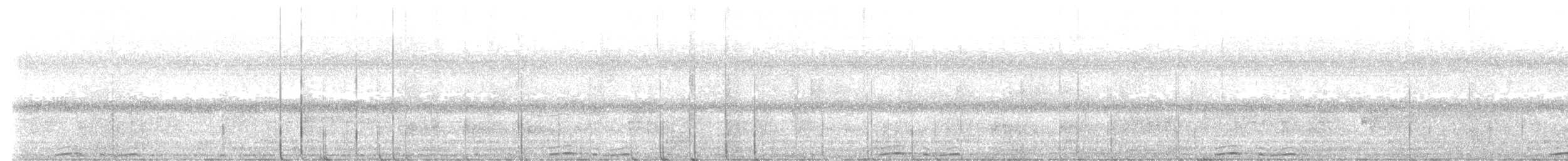 Nínox de Timor - ML638518483
