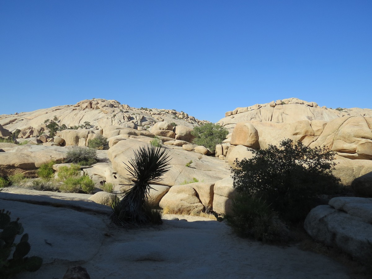 null - ML638519016