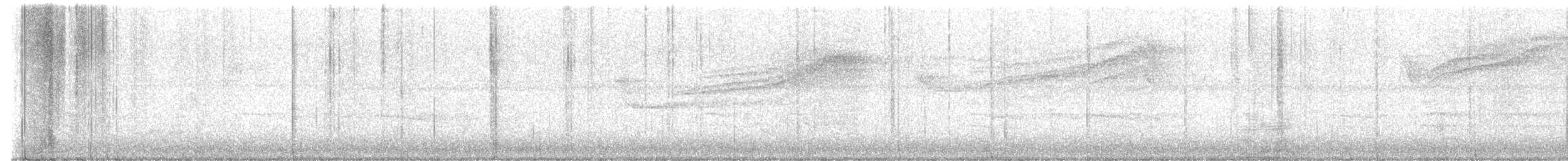 Barred Owl - ML638519057