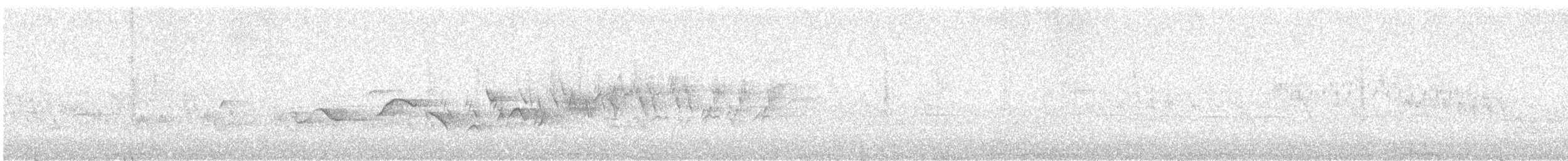 ゴマフスズメ（schistacea グループ） - ML638520313