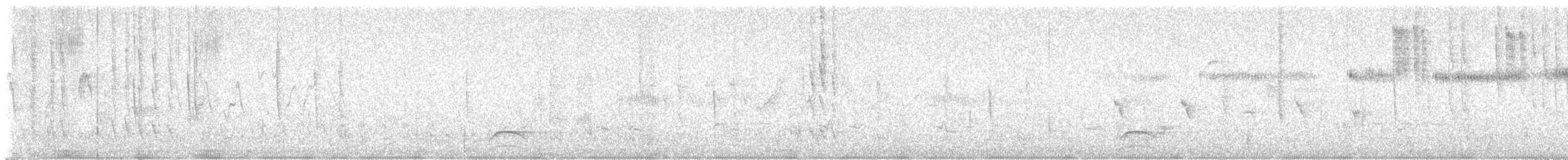 Calliope Hummingbird - ML638520480