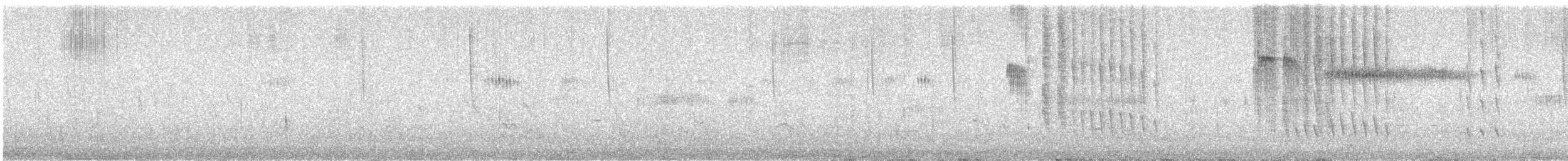 Calliope Hummingbird - ML638520557