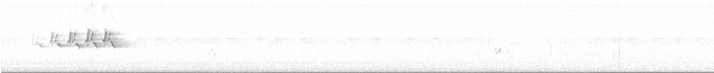 MacGillivray's Warbler - ML638521269