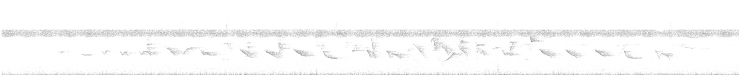 Chestnut-bellied Seed-Finch - ML638521858