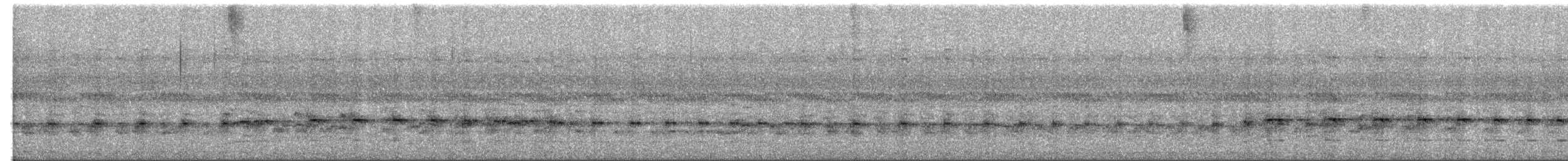 Three-banded Courser - ML638522861