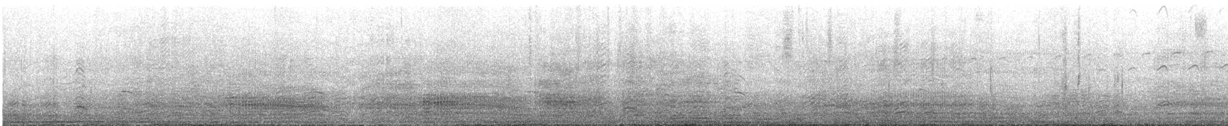 Thick-billed Murre - ML638526455
