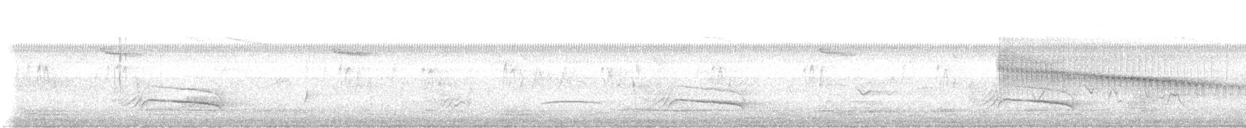 Brustbandvireo - ML638526916