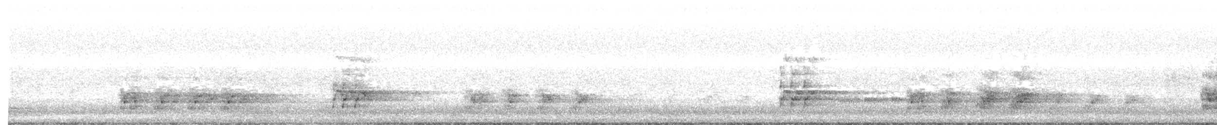 Gray Currawong (Clinking) - ML638527019