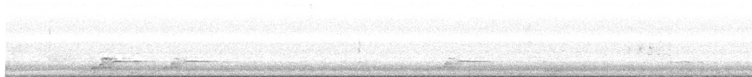 Gray Currawong (Clinking) - ML638527021