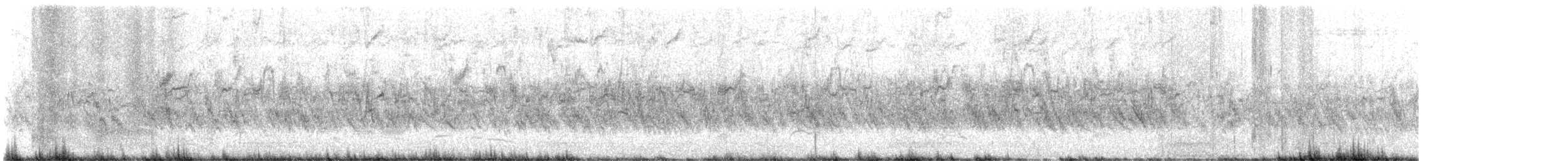Spanish Sparrow - ML638527393