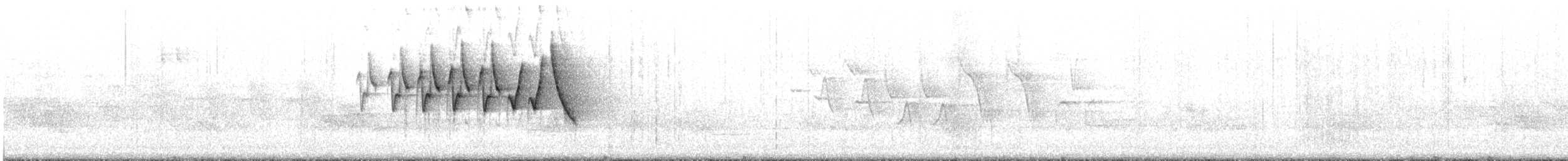 Chestnut-sided Warbler - ML638527997