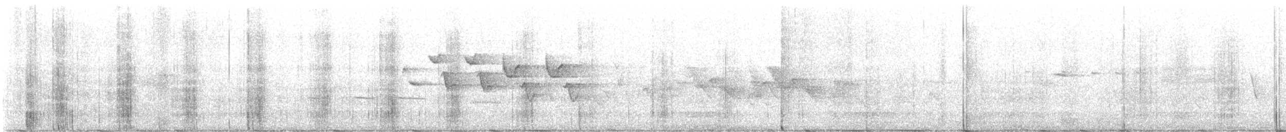 new world warbler sp. - ML638528598