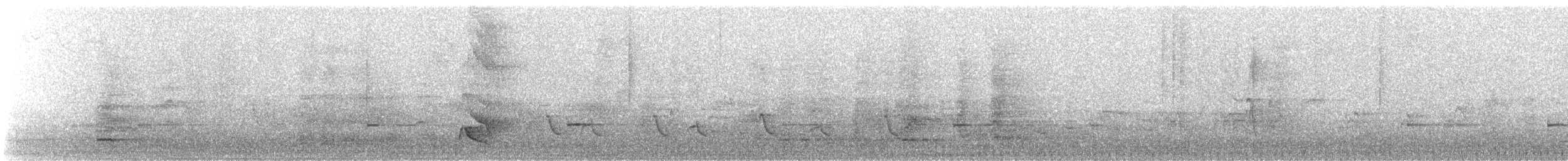 Australasian Figbird - ML638529506
