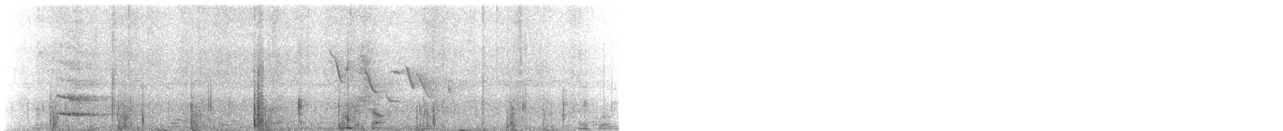 bird sp. - ML638530382