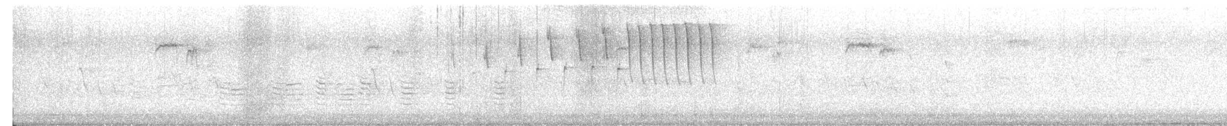 Tennessee Warbler - ML638530415