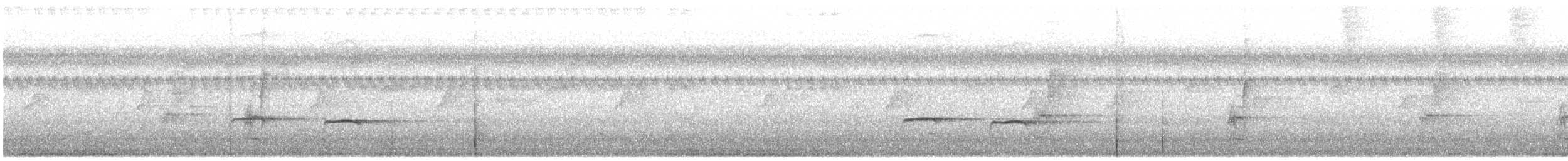 Plaintive Cuckoo - ML638530499