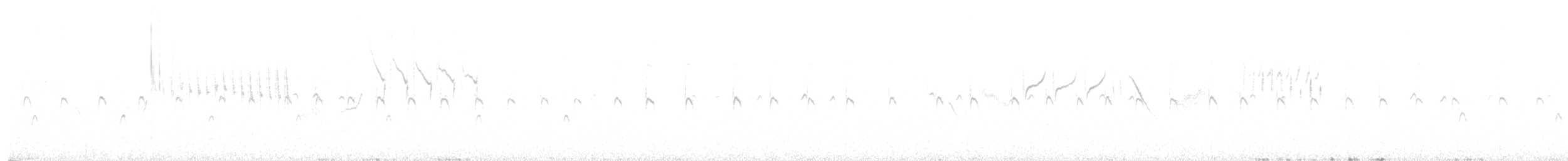 Grass Wren - ML638531159