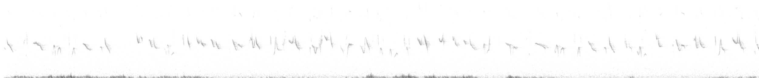 Percefleur moustachu - ML638531181