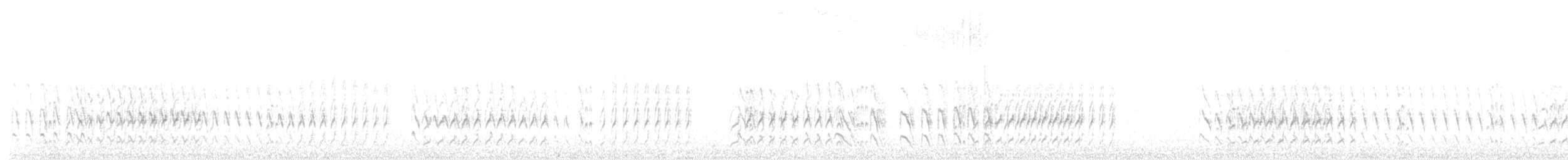 Rusty-backed Antwren - ML638531419