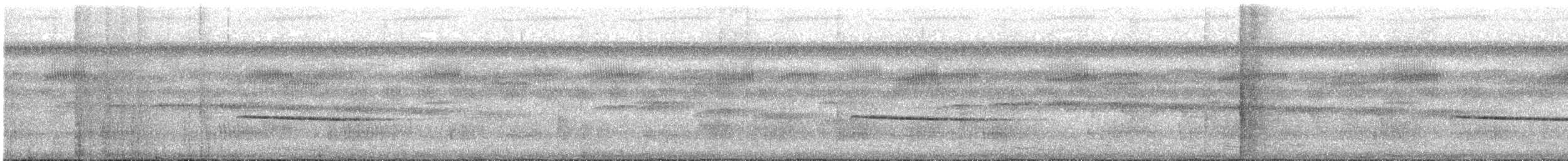 Collared Gnatwren - ML638533729