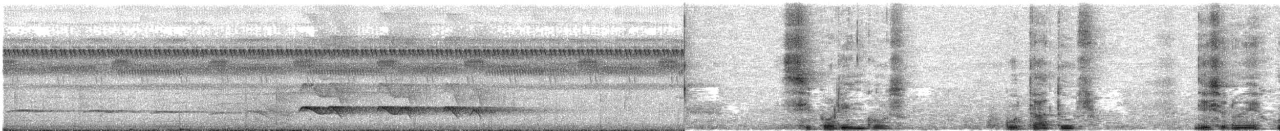 kremstrupetreløper - ML638533768