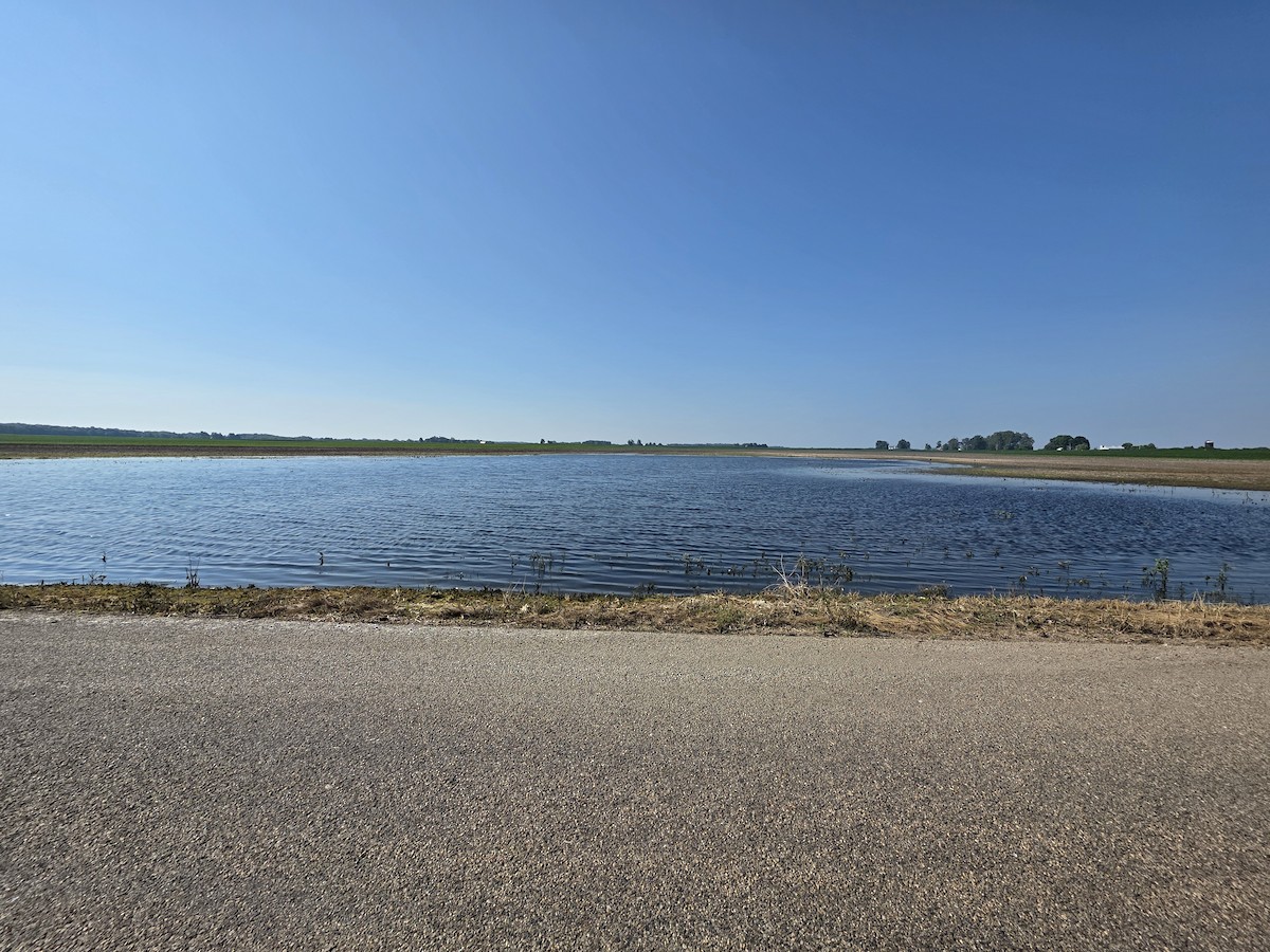 null - ML638534367