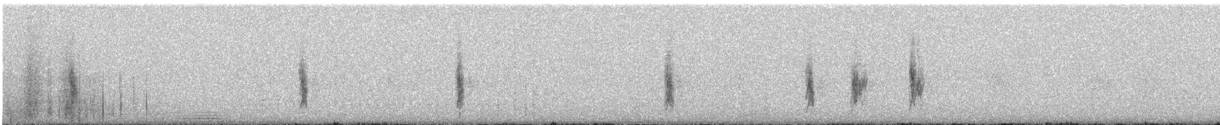 Sturnelle à sourcils blancs - ML638534567