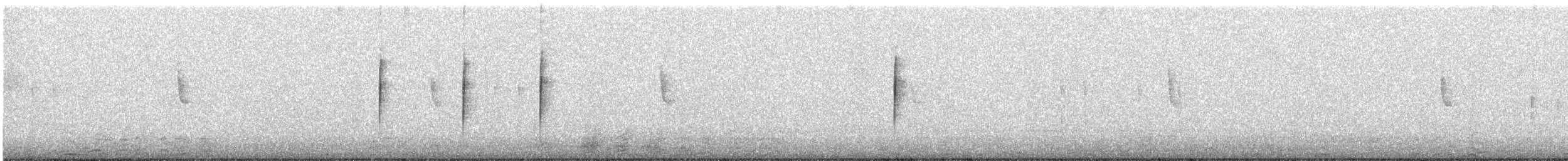 kaliforniavaktel - ML638536050