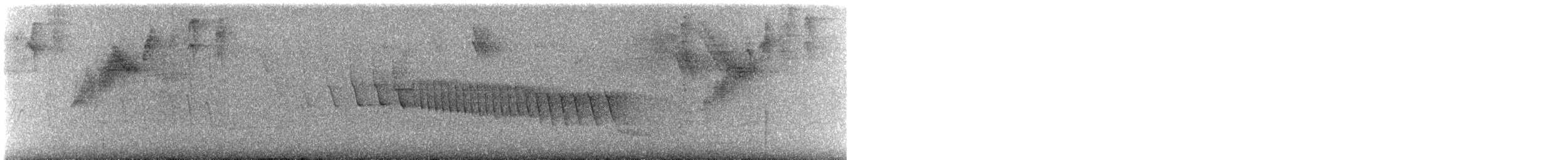 Adelaide's Warbler - ML638536498