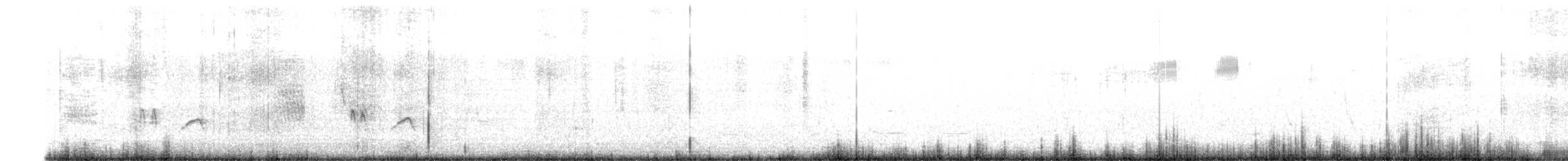 Black Drongo - ML638536984