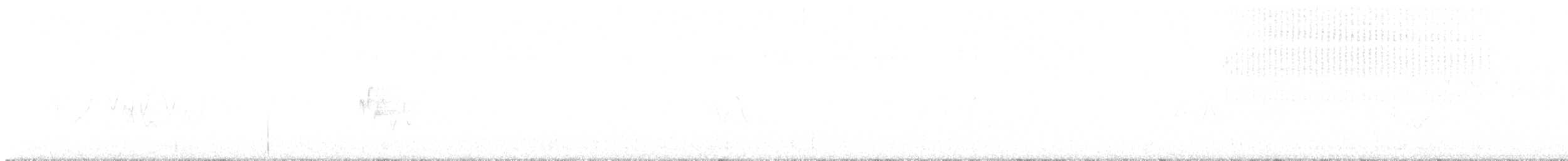Yellow-bellied Flycatcher - ML638537233