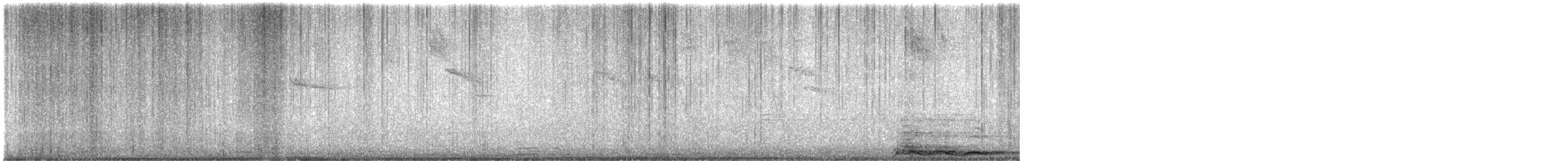Amazilia Hummingbird - ML638537309