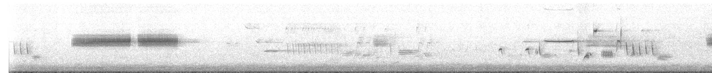 ウスヒメドリ - ML638537504