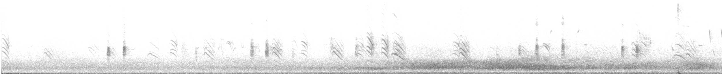 סנונית אמריקנית - ML638537753