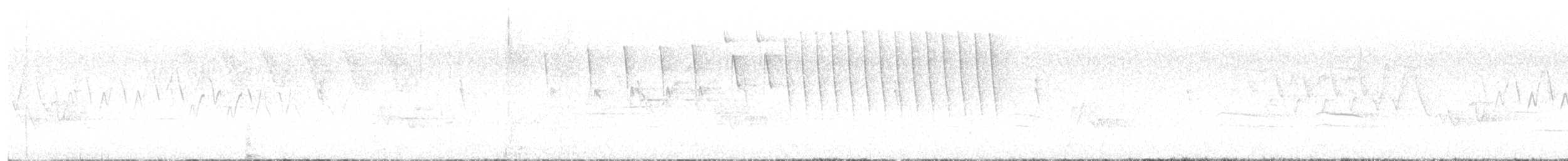 Tennessee Warbler - ML638540361