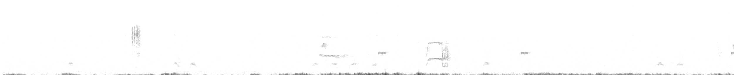 Narrow-billed Woodcreeper - ML638543742