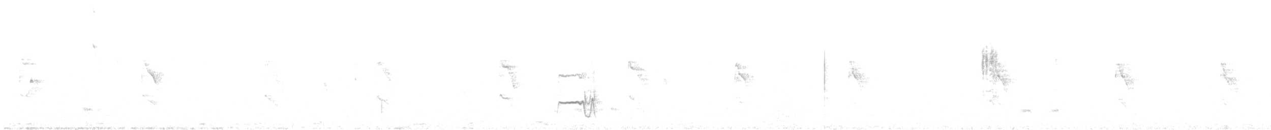 Narrow-billed Woodcreeper - ML638543743