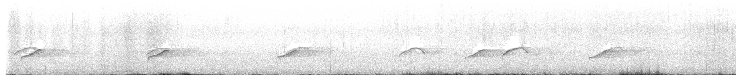 Cisticole plaintive - ML638544022