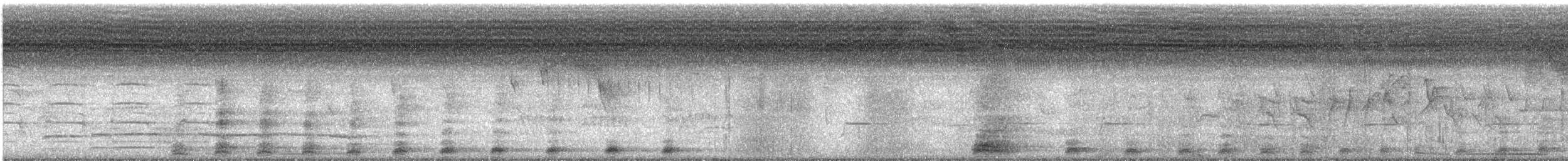 gråkinntigerhegre - ML638544541